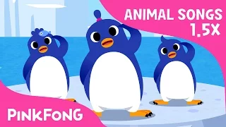 FASTER Version of The Penguin Dance | Faster and Faster | Animal Songs | PINKFONG Songs for Children