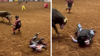 Knocked Out Cowboy Saved From Bull’s Horns by Dad