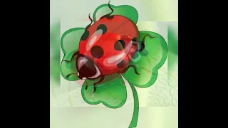 Жук Сонечко 🐞   опис та розповідь для дітей