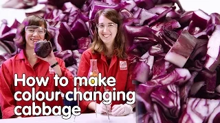How to make colour-changing cabbage | Do Try This At Home | We The Curious