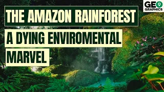 The Amazon Rainforest: A Dying Environmental Marvel