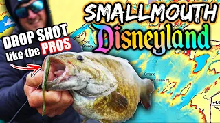 How to Catch GIANT Bass Drop Shotting w/ Live Scope!