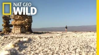 The Lowest Point in Africa | Shane Untamed