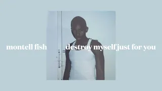 montell fish - destroy myself just for you (slowed)