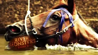 Mysterious Horse Attack | HORROR STORY | River Monsters