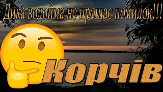 ДИКА ВОДОЙМА НЕ ПРОЩАЄ ПОМИЛОК.Ловля коропа.с. Корчів