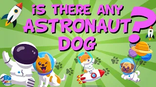 IS THERE ANY ASTRONAUT DOG? | Educational Video for Kids