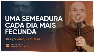 Uma semeadura cada dia mais fecunda | Caminho, Sulco e Forja | #12