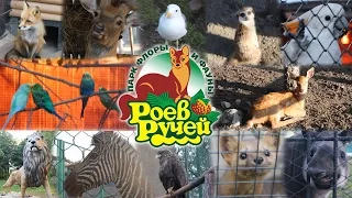 Зоопарк "Роев ручей" 2014 (Zoo "Swarms creek" russia)