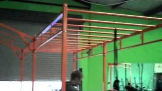 BeaverFit Standard Pull Up rig