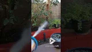 Humming Bird takes a bath || Viral Video UK