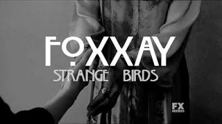 Foxxay - Strange Birds