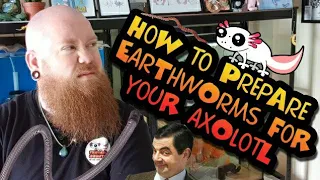 HOW TO PREPARE EARTHWORMS FOR YOUR AXOLOTL