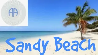 The Sandy Beach Chronicles – Episode Two