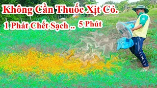 Không Cần Phải Phun Thuốc Diệt Cỏ MÀ Tôi Vẫn Làm Cỏ Chết Trong 10 Phút  ! Tiết Kiệm Tiền Gấp 5 Lần