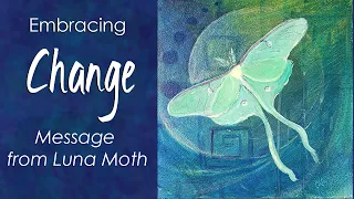 Beautiful Winged Ones: Spirit Message for Changing Times (Luna Moth Spirit Animal Meaning)