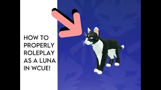 How to ✨Properly✨Roleplay as a Luna in WCUE!