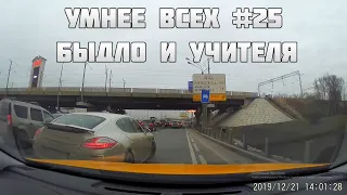 УМНЕЕ ВСЕХ #25. БЫДЛО И УЧИТЕЛЯ НА ДОРОГЕ