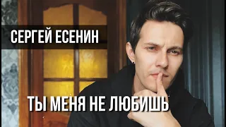 Сергей Есенин - Ты меня не любишь ( исп. Иван Авдеев )