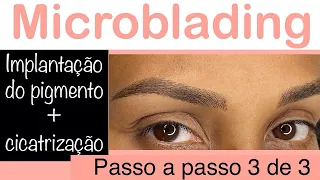 Microblading passo a passo- vídeo 3 de 3 ( Implantação perfeita + Cicatrização Perfeita)