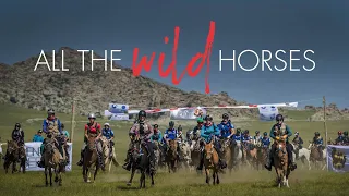 All The Wild Horses | Trailer | iwonder.com