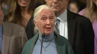 Dr. Jane Goodall honored by L.A. City Council - FULL SPEECH | ABC7