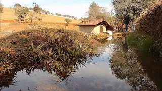 SAUDADES DO TEMPO ANTIGO - BRASÓPOLIS MG - PARTE 1