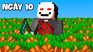 Liệu mình có trồng được 1 Triệu Cà Rốt trong 100 Ngày Minecraft?