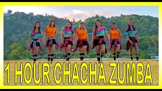 CHACHA ZUMBA FOR BEGINNERS | 1 HOUR DANCE WORKOUT | DANCE FITNESS | RETRO ZUMBA