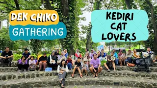 Dek Chiko gathering. funny video cute cat animal trending viral kucing pet anjing channel dog ai