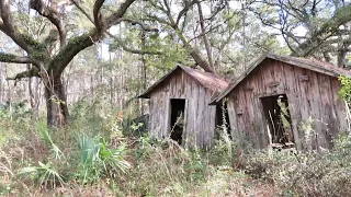 Forgotten Ghost Towns in Green Swamp of Florida - Stewart Family Plot & Hitching Ride With Locals