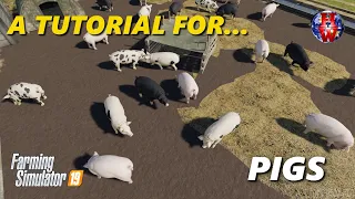 PIGS - Farming Simulator 19 - FS19 Pigs Tutorial