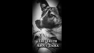 The Truth About Laika | Fascinating Horror Shorts