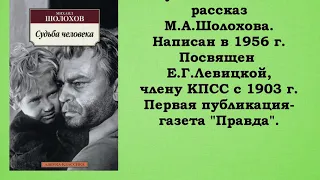 Видеоакция "Читаем Шолохова"  к 115 летию  со дня рождения Михаила Александровича Шолохова