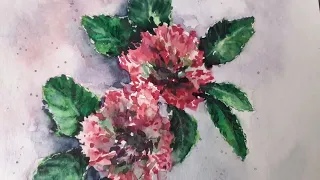 картина акварелью # клевер акварелью # clover in watercolor.