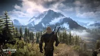 The Witcher 3: Wild Hunt OST "The Fields of Ard Skellig"