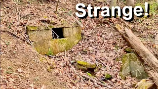 We found an old Homesite and Something STRANGE in the Forest! PA Relic Hunters Ep. 140