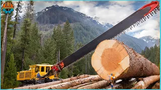 101 AMAZING Fastest Big Wood Chainsaw Machines Working At Another Level