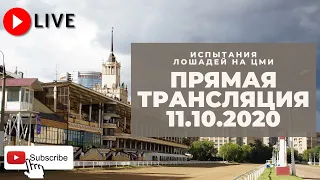 11.10.2020. Прямая трансляция с ЦМИ.