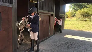 TAYLA HAYWARD - HOBBY HORSE DERBY COMPETITION