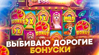 ВЫБИЛ БОНУСКУ ЗА 640к В THE DOG HOUSE MULTIHOLD! ПОКУПАЮ ДОРОГИЕ БОНУСКИ ! ЗАНОС?