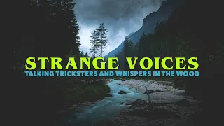 Strange Voices, Talking Tricksters and Whispers in the Wood | 3.2