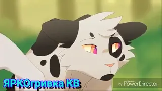 (Коты воители) клип  яролика и быстролап   •я люблю тебя•