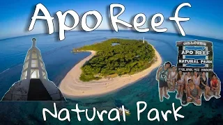 Apo Reef Natural Park | Occidental Mindoro | Rex Onagan Vlog #27