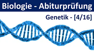 Biologie Abiturprüfung 2024 - Aufgaben Genetik [1/2] - [Abitur Biologie, 4/16]