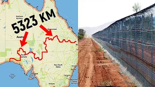 Зачем австралийцы построили самый длинный забор в мире?!