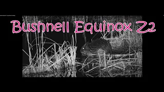 Bushnell Equinox Z2 - Night Test In The Swamp