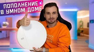 Алиса, запускай! Полный обзор робота-пылесоса XIAOMI Mi Robot Vacuum Mop Essential