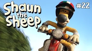 What's Up Dog? | Shaun the Sheep Season 2 | Full Episode