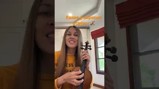 Какие у скрипки струны🎻 #violin #скрипка